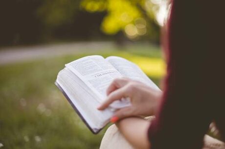 Legal documents for college students .