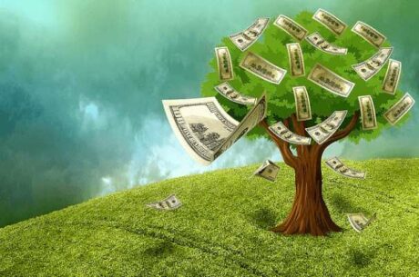 Emergency funds depicted by a money tree.