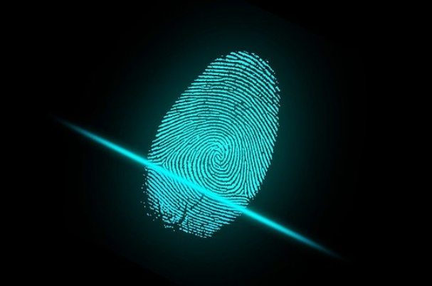 Identity fraud vs identity theft fingerprint image.