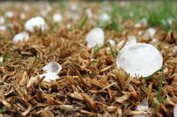 Hail Season is Just Around the Corner