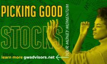 Picking Good Stocks: What do you look for?
